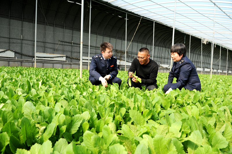 税宣春风促遵从 合规诚信助农兴